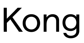 Kong API portal powered by Apiable